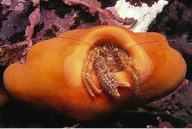 《使命召唤：战区》新Bug：自动驾驶的车辆