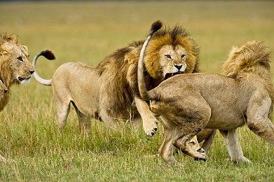 “大表哥2”亚瑟演员澄清：不会参演《使命召唤》新作