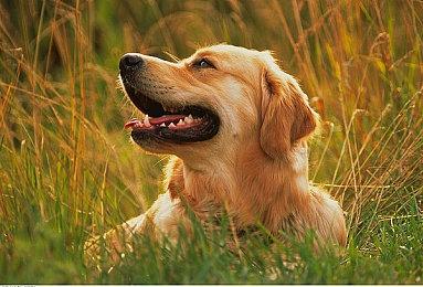 前《星空》设计师：这款游戏里最大的城市设计有问题